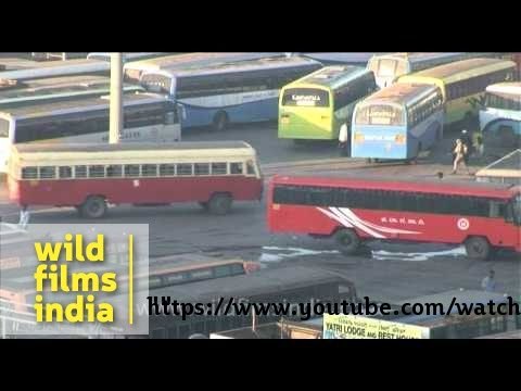 Majestic Bus Station - busiest terminus in Bangalore