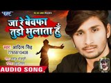आ गया Aditya Singh का सबसे बड़ा दर्द भरा गीत - Ja Re Bewafa Tujhe Bhulata Hu - Hindi Sad Song 2019