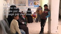 En Syrie, les habitants de Raqa affrontent la leishmaniose