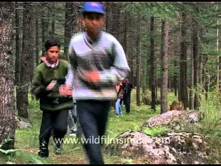Kendriya Vidyalaya students go trekking