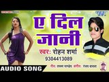 ऐ दिलजानी - Ae Diljani - Sakhi Ke Labhar - Rohan Sharma - Bhojpuri Hit Songs 2019 New