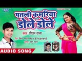 Pritam Raja का सबसे नया हिट गाना 2019 - Patli Kamariya Dole Dole - Bhojpuri Hit Song 2019