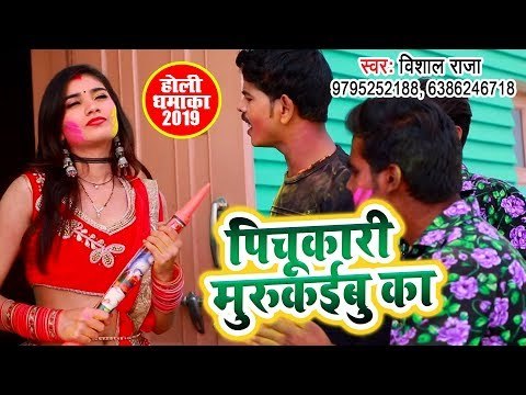 आगया भोजपुरी का रंगीन होली गीत - Pichukari Murkaibu Ka - Vishal Raja - Bhojpuri Holi Songs 2019
