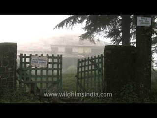 Misty aloof wilderness around the haunted house of Jabbarkhet