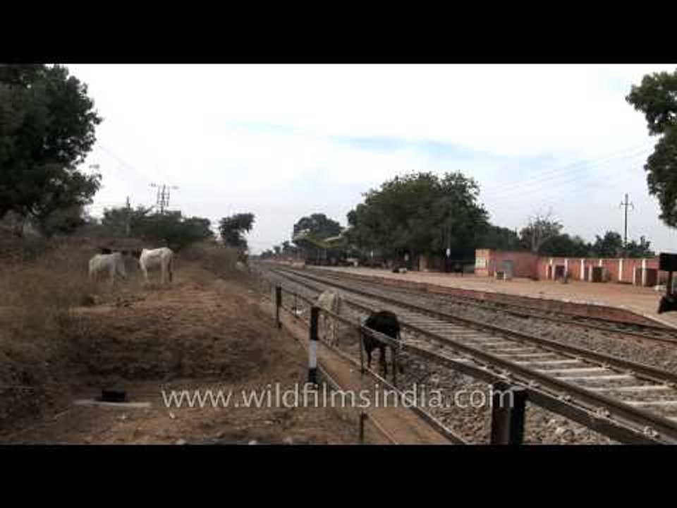 Railway tracks- Orchha