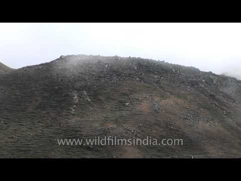 Clouds whiz by swiftly in the rainy mountains of Sikkim