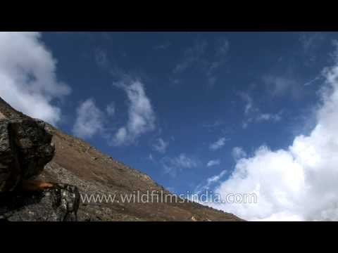 Clouds casting shadows over the mountains- Sikkim