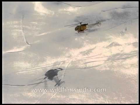 Helicopter shadows falling on the snow laden Himalayas
