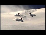 Skiing on Himalayan snow powder