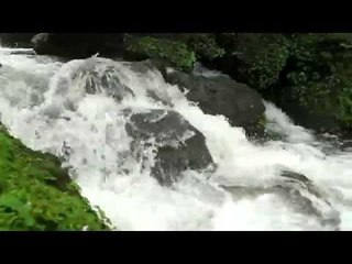 Torrential monsoon stream in Mahabaleshwar