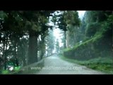 Driving from Victor Banerjee's house to north face cemetery, Landour