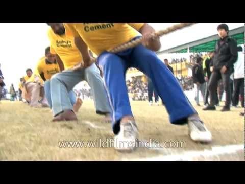 Ready, steady, pull : Tug-of-war competition at Kila Raipur Olympics