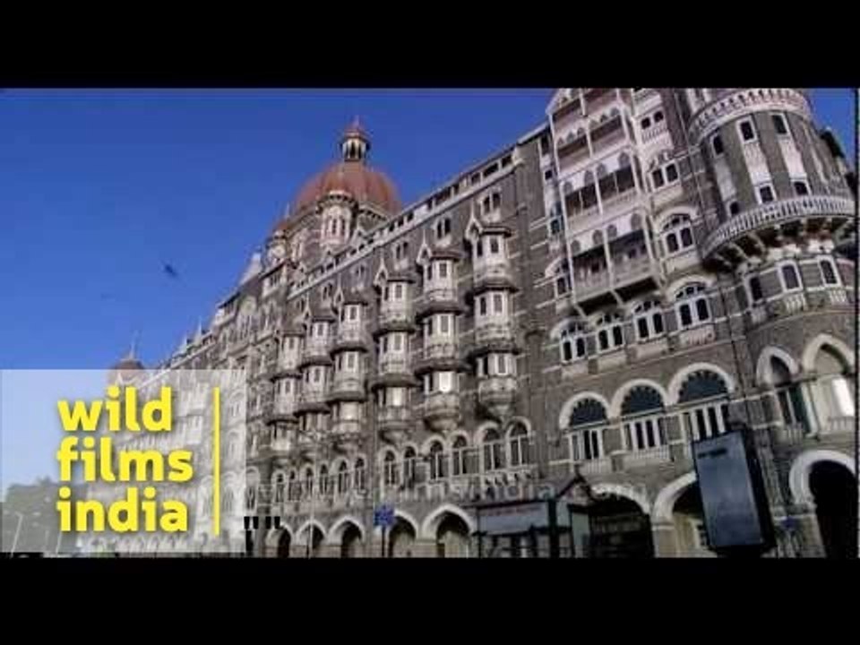 Taj Mahal Hotel : one of Mumbai's best known hotels