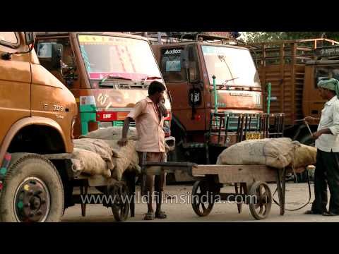 Manual downloading and uploading of goods at Azadpur mandi!