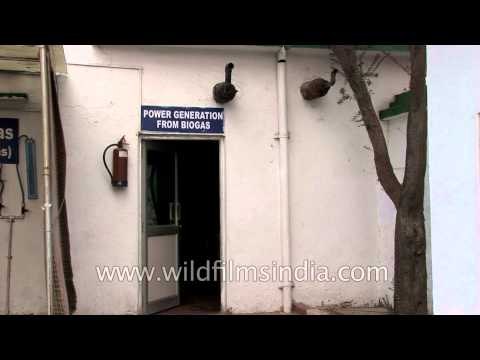 Power can be generated from biogas - International Sulabh Museum of toilets, Delhi