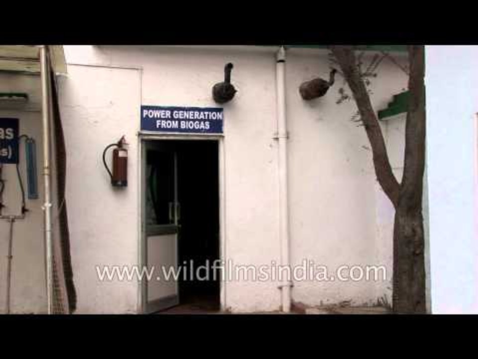 Power can be generated from biogas - International Sulabh Museum of toilets, Delhi