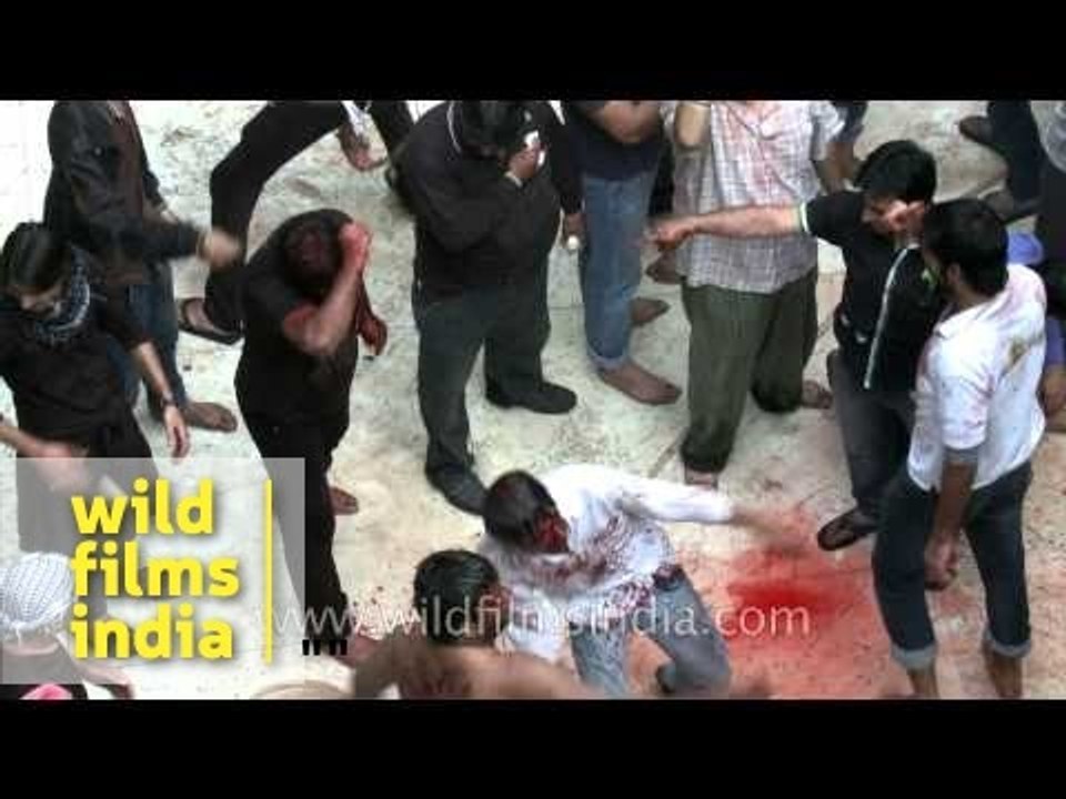 Mass self lashing with sharp metal blades is a Muharram ritual