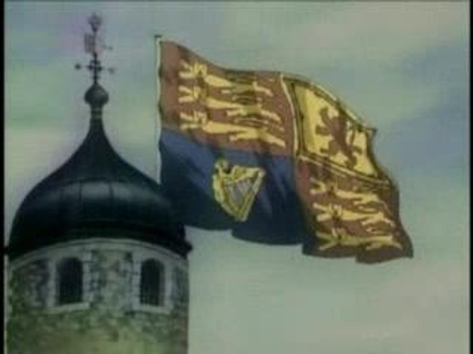 AMV - Hellsing - Rammstein