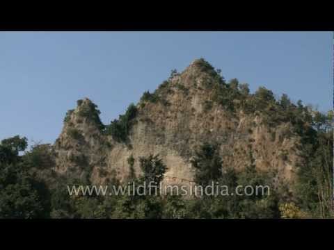 Ancient Shivalik hills in Rajaji National Park near Dehra dun