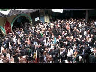 Mass human body whipping - Muharram ritual!