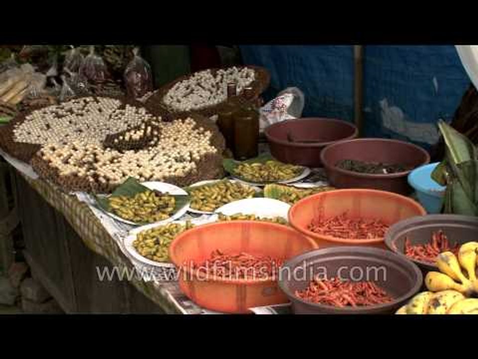 Live frogs and worms for sale in Kohima city