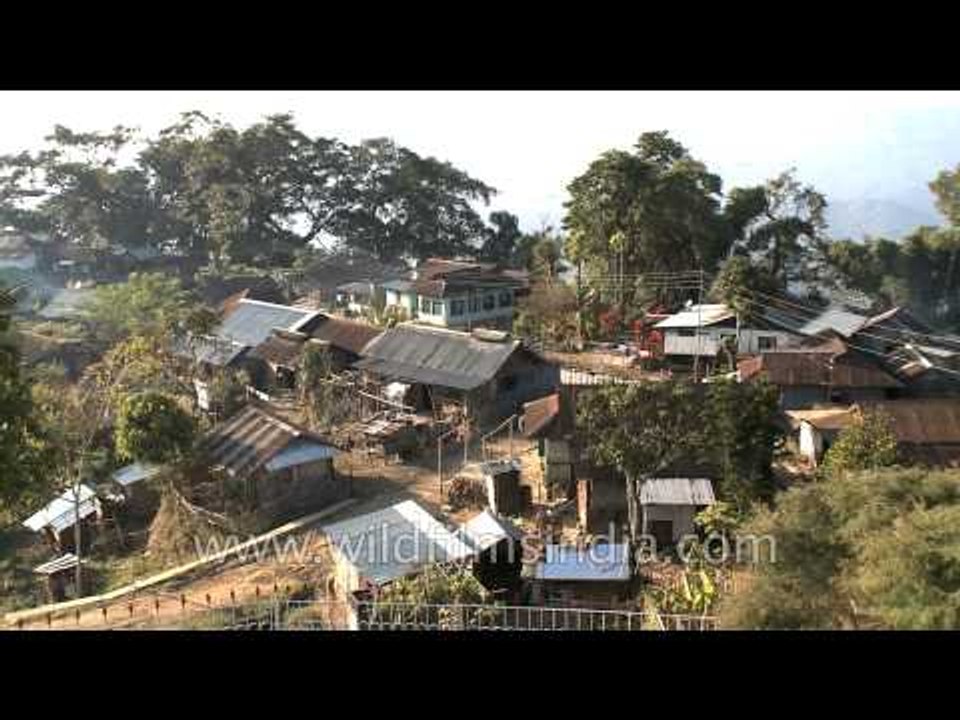 Cute little thing - Naga grain storage huts at Yikhum village, Wokha