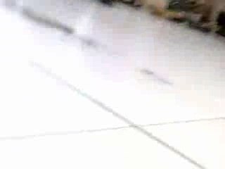 Vieille Boîte LGM et les Gringo : un câble et un boulet