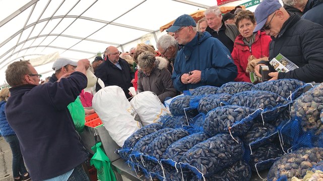 La foire aux bulots de Pirou en mode dégustation pour la sous- préfète