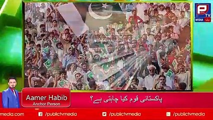 10 Prime Minister Imran Khan and His 100 days Agenda _ Aamer Habib _ Public TV Medi