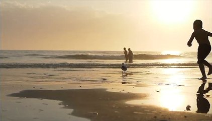 Aromas do Brasil 20 Amanhecer