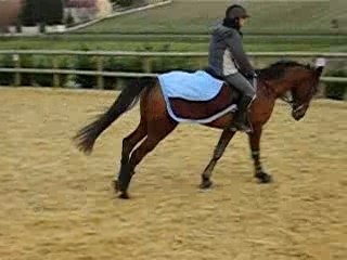Ouragan au Galop