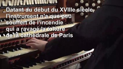 Le grand orgue de Notre-Dame ne devra pas être démonté indique un organiste