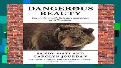 Dangerous Beauty: Encounters with Grizzlies and Bison in Yellowstone