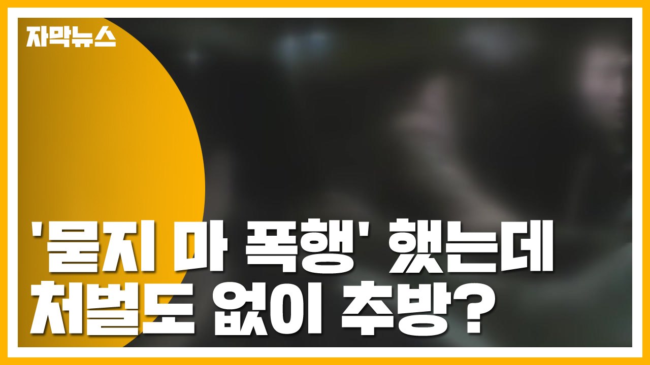 [자막뉴스] '묻지 마 폭행' 했는데...처벌도 없이 추방? / YTN