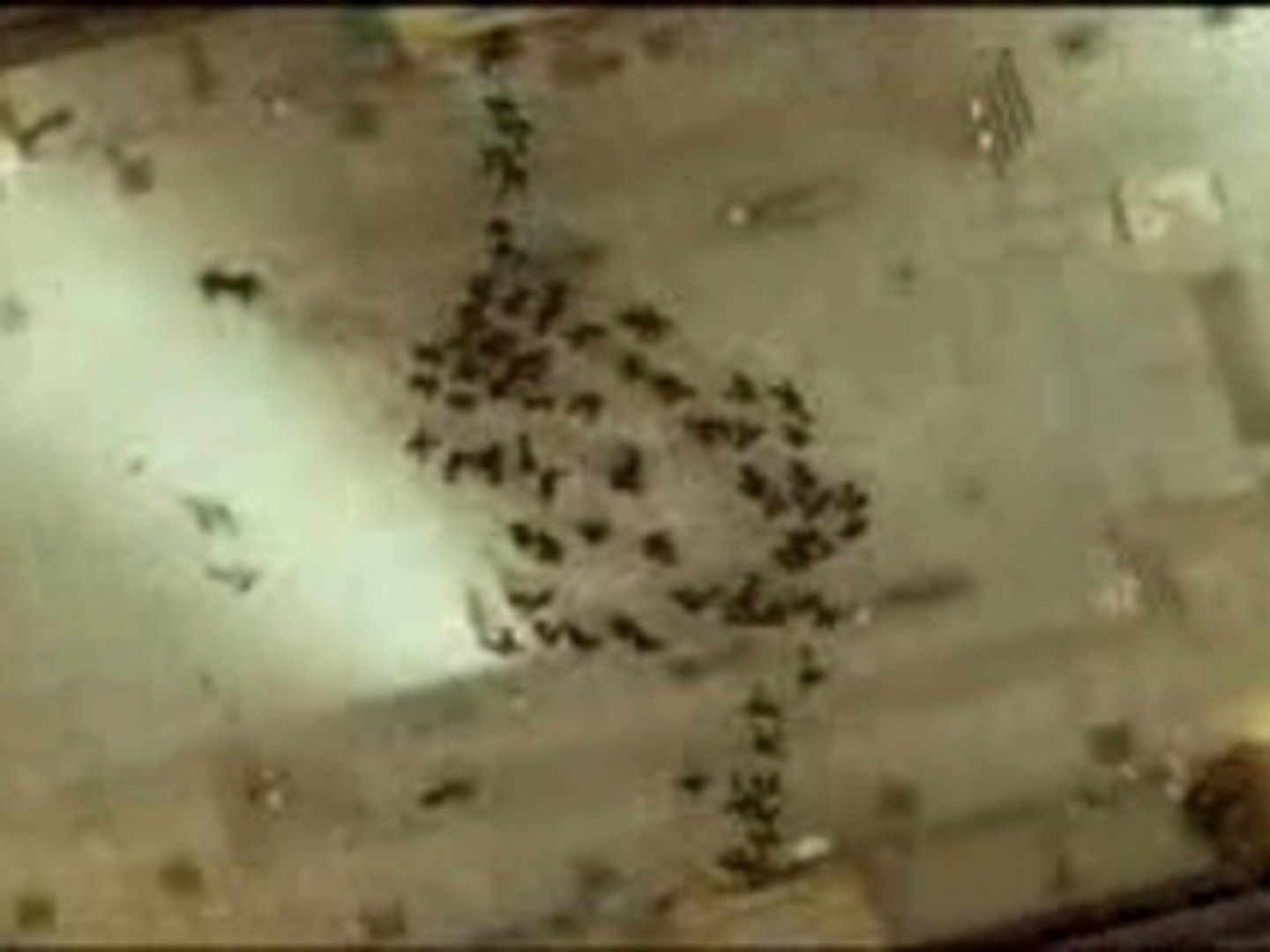 ⁣Bande-annonce The Matrix Reloaded