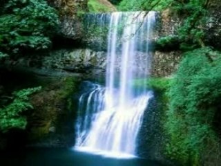 Montage Birdy Agility