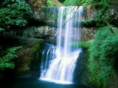 Montage Birdy Agility