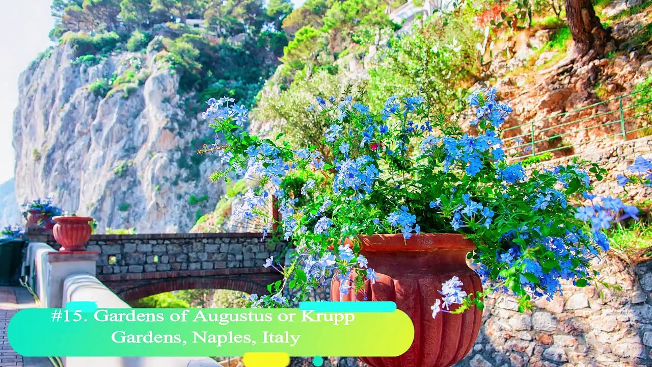 20 Best Botanical Gardens from around the World