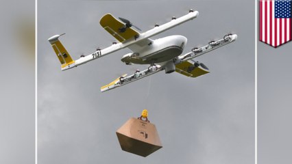 Delivery drones: FAA approves Alphabet-owned Wing for flight