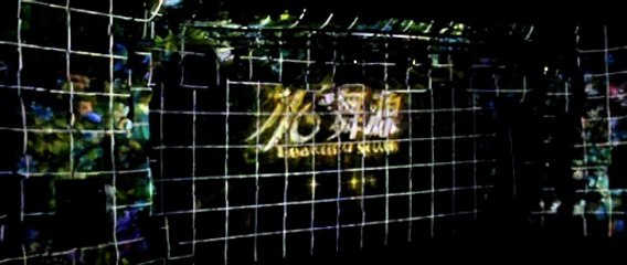 Xishuangbanna Stage Dance Beauty Screen Fusion Projection