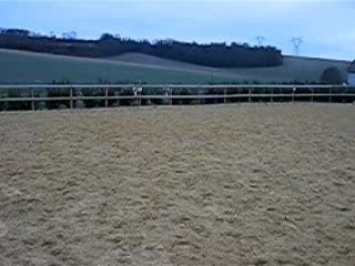 Ouragan saute oxer 3