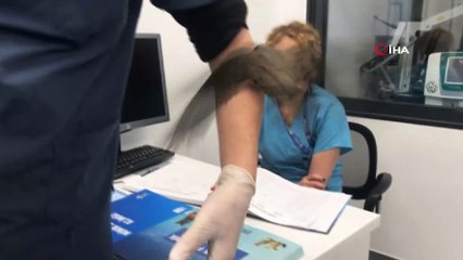 Üsküdar’da Ebabil kuşu bulundu