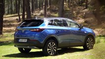 VÍDEO: OPEL Grandland X, un SUV que te va a sorprender por su total equilibrio