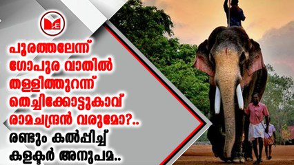 തൃശൂർ പൂരത്തിന് തിടമ്പേറ്റാൻ രാമചന്ദ്രൻ വേണമെന്ന വികാരം ആനപ്രേമികൾക്കിടയിൽ ശക്തമാണ്