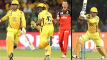 IPL 2019 : MS Dhoni Continues To Create Maximum Buzz On Twitter In Week 4 Of IPL 2019 || Oneindia