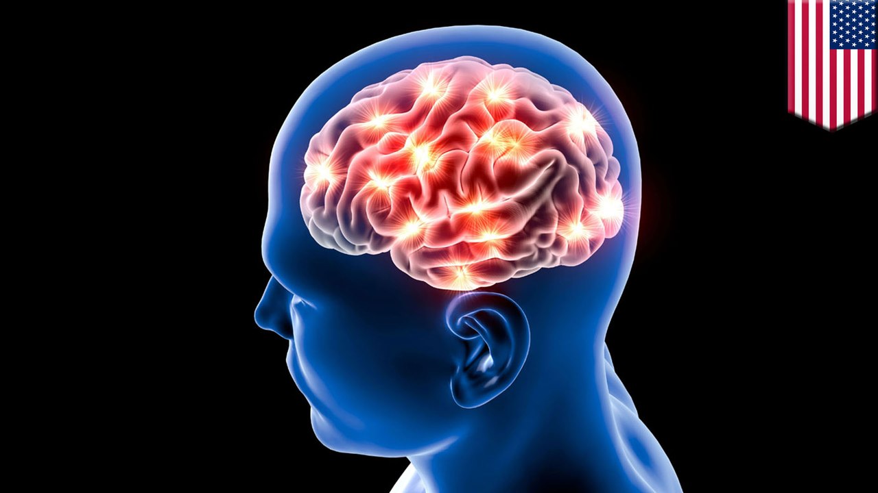 Scientists create speech using brain recordings