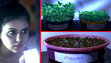 யாரடி நீ மோஹினி சீரியல்: மொளப்பாரியை திருட்டுத்தனமா பாத்தா ஸ்வேதா