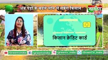 Kisano के लिए काम की खबर अब पेड़ों के बदले लोन ले सकेंगे Farmers | Kisan Bulletin