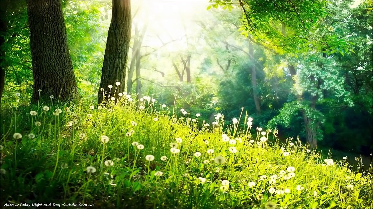 9 HOURS of Relaxing music - Meditation,Sleep,Spa,Study,Reiki,Massage,Ayurveda,Qigong,Tai-Chi