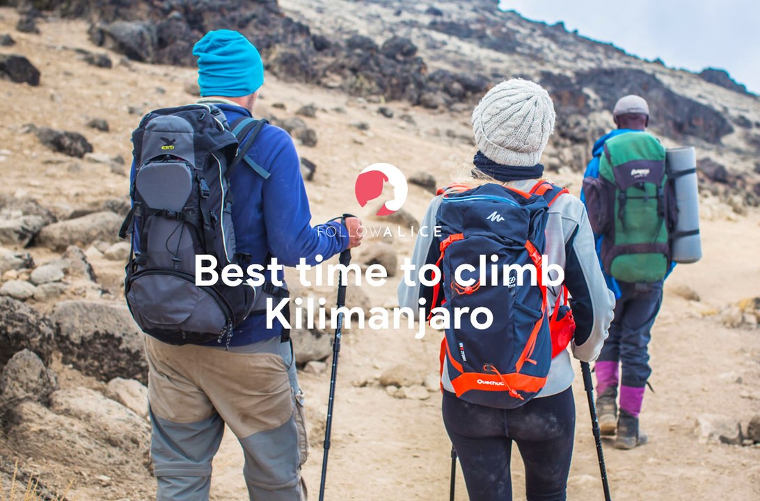 Climb Kilimanjaro